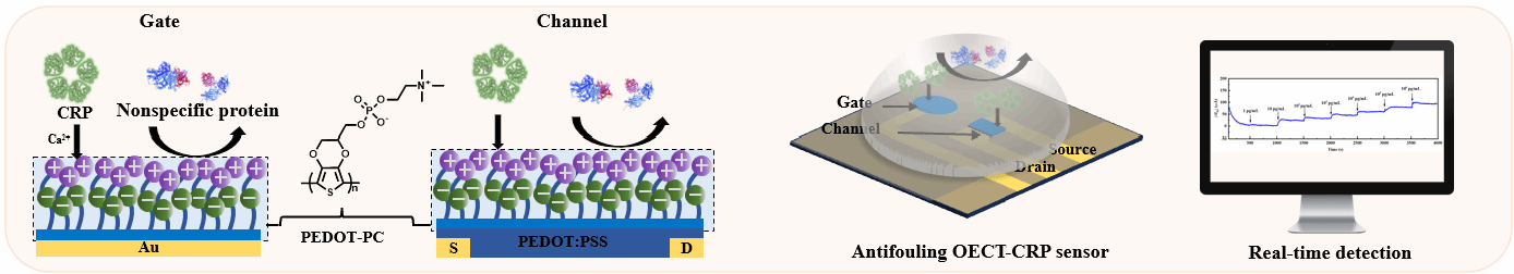 加拿大pc28预测(中国区)官方网站