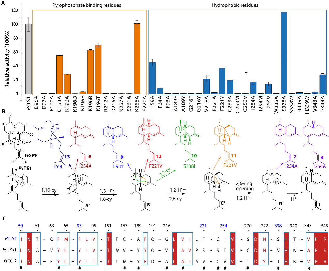 D20328AD416288DBE1B128F0945_D985520E_F67B