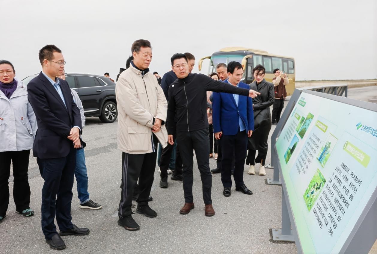 BD21642D08E1E3CB6D9708590DB_9B33DE82_23A20