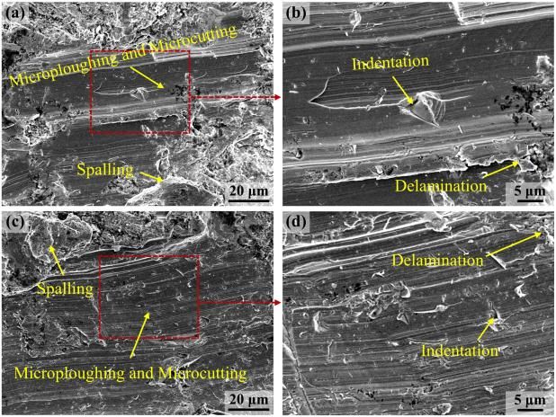 加拿大pc28预测(中国区)官方网站