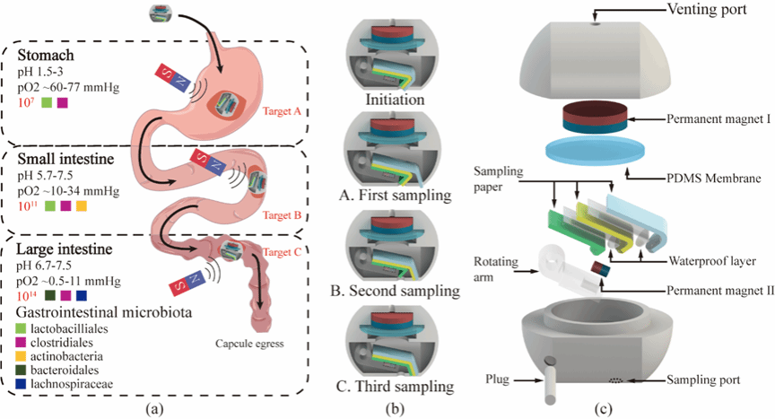 加拿大pc28预测(中国区)官方网站