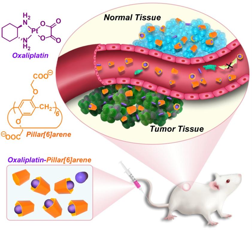 加拿大pc28预测(中国区)官方网站