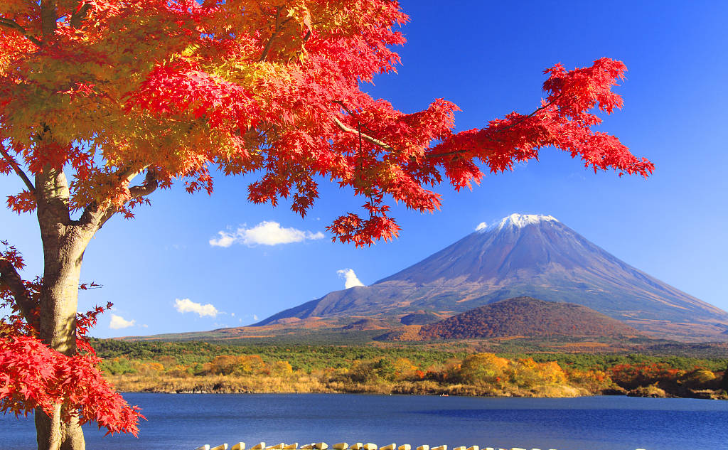 加拿大pc28预测(中国区)官方网站