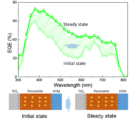加拿大pc28预测(中国区)官方网站