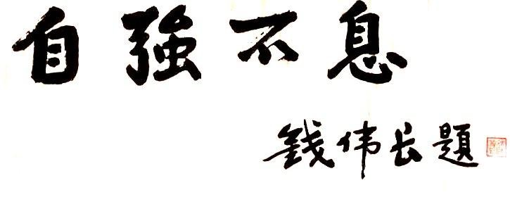 741C1698517E53BBBD2B94521B0_982DB990_74F3.jpg?e=