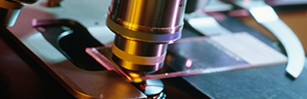 加拿大pc28预测(中国区)官方网站